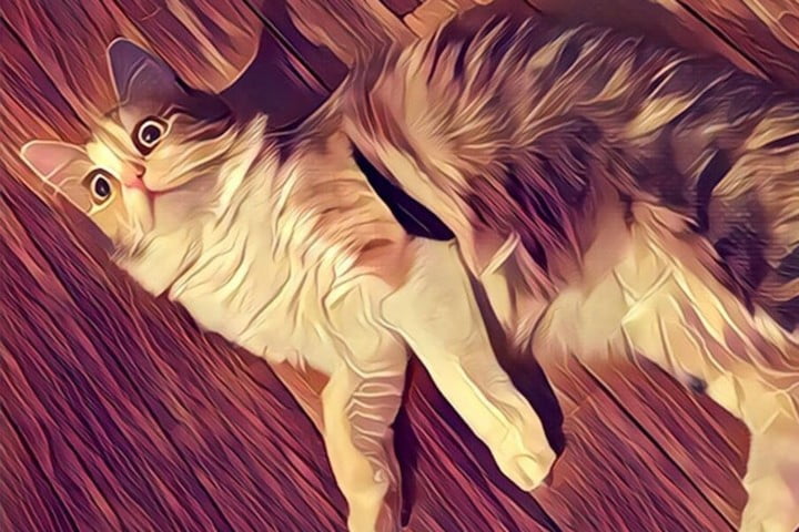 How to Turn off Prisma Logo Watermark From Photos