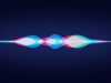 How to Enable or Disable Siri on Mac OS