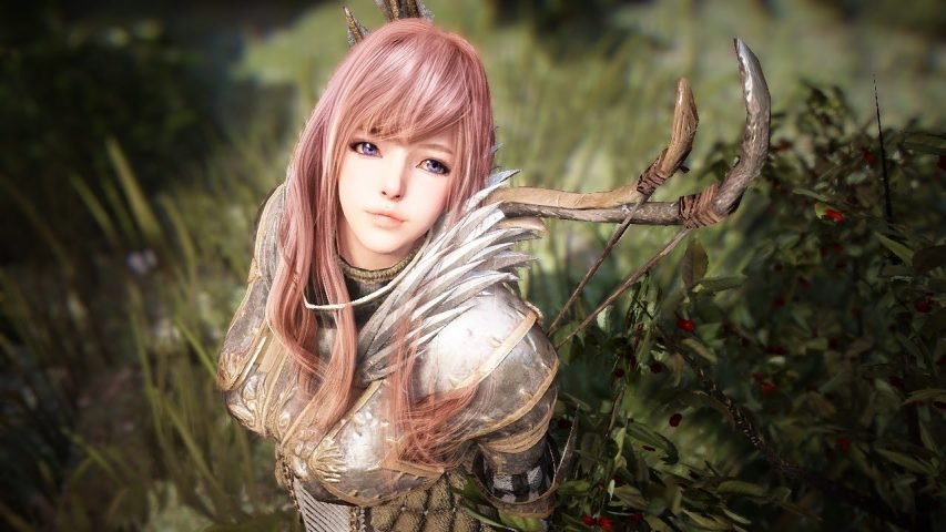 Black Desert Online Is getting PlayStation 4 and Xbox One release In Future