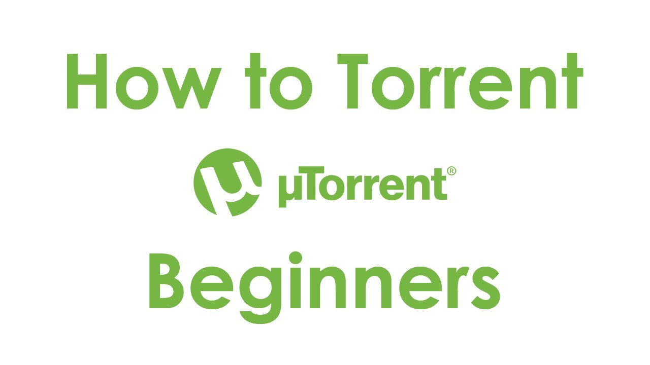 The Guide on How to Use Torrent Clients Properly and Avoid Various Issues